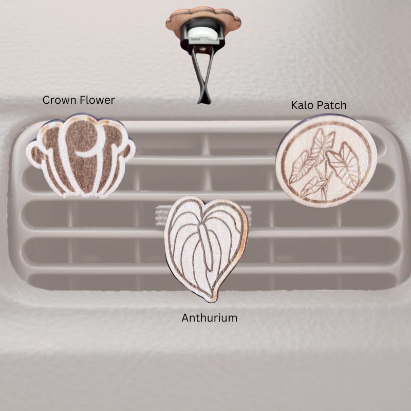 Car Vent Clips