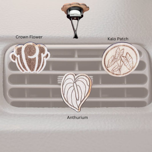Car Vent Clips