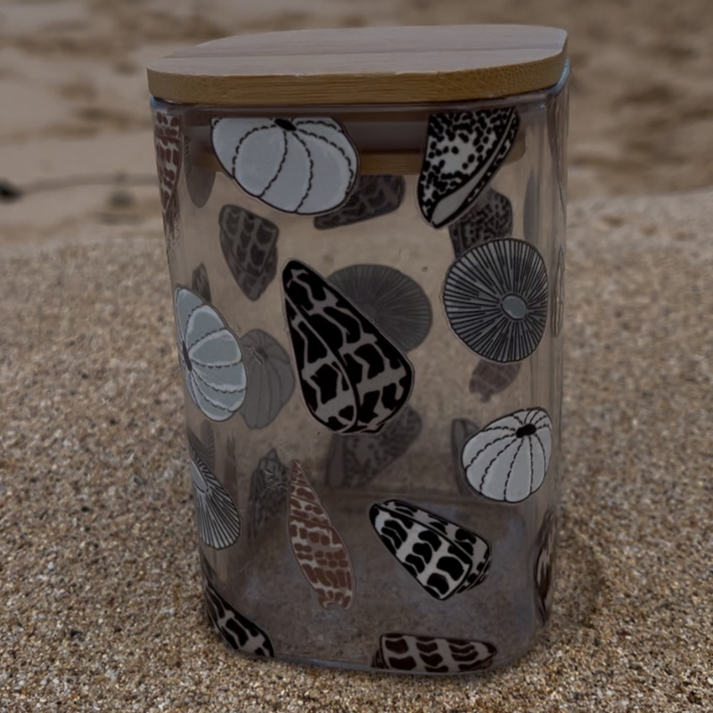 Shell Medium Storage Cup w/ lid