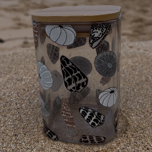 Shell Medium Storage Cup w/ lid
